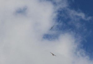 19 - IMG_0174